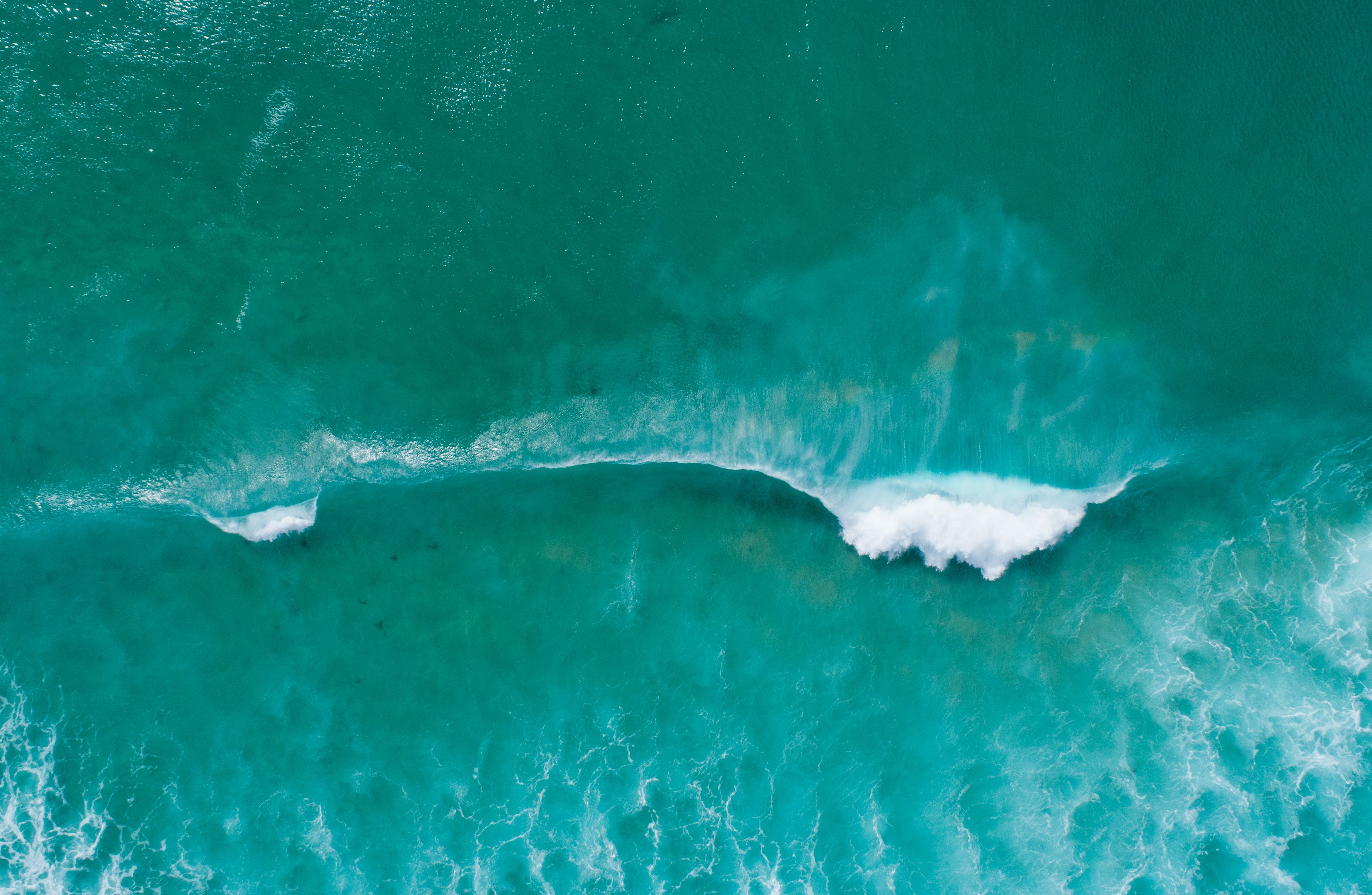 A birdseye view of a bold turquoise sea. A wave with foamy whitewater rolls down towards an out-of-frame shore.