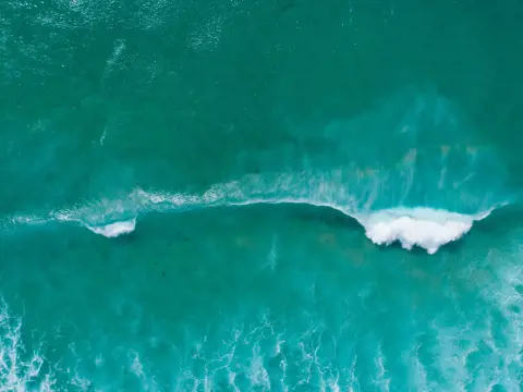 A birdseye view of a bold turquoise sea. A wave with foamy whitewater rolls down towards an out-of-frame shore.