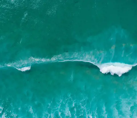 A birdseye view of a bold turquoise sea. A wave with foamy whitewater rolls down towards an out-of-frame shore.