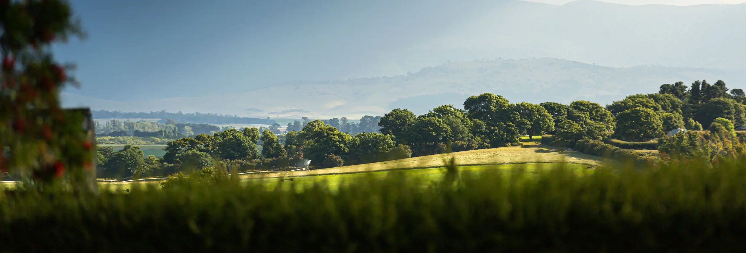 View from Cressy House across open green spaces and trees toward distant mountains, Longford, Tasmania