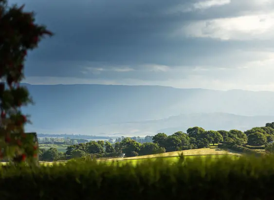 View from Cressy House across open green spaces and trees toward distant mountains, Longford, Tasmania