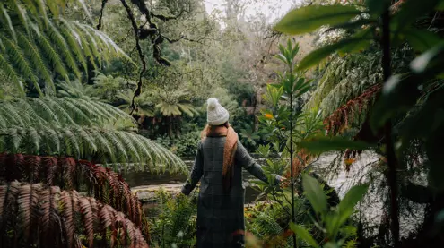 A person standing among trees in Styx Valley near the Tasmanian Wilderness World Heritage Area