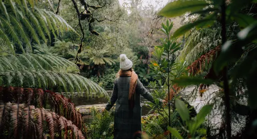 A person standing among trees in Styx Valley near the Tasmanian Wilderness World Heritage Area