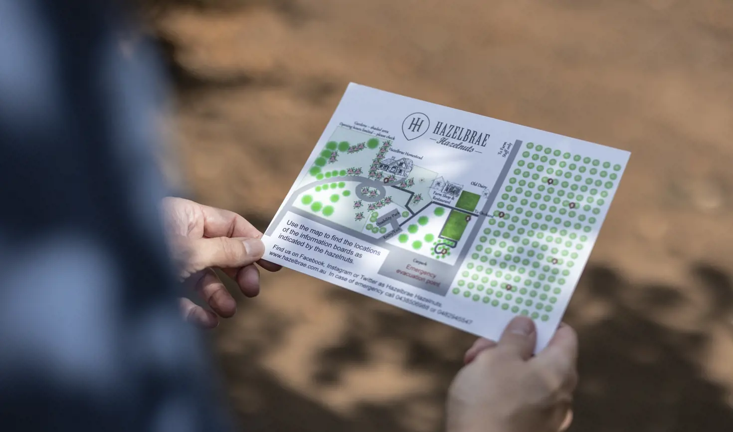 Hands holding a map showing the orchard layout at Hazelbrae Hazelnuts, Hagley, Tasmania