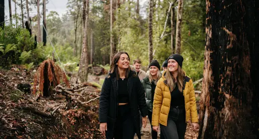 Five people walking on a forest track at Tahune Airwalk, Tahune Adventures in Geeveston, Tasmania's Huon Valley