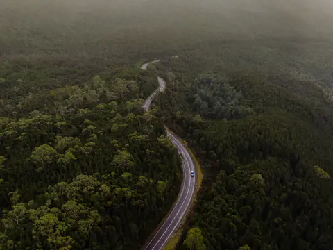 Aerial view of cars winding along Anthony Road surrounded by trees, West Coast Range, Tasmania