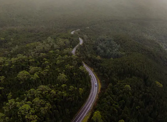Aerial view of cars winding along Anthony Road surrounded by trees, West Coast Range, Tasmania