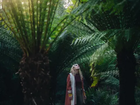 A person looking up at tree ferns on a forest bathing experience with Nature. Be in it. at Waterworks Reserve, Hobart, Tasmania