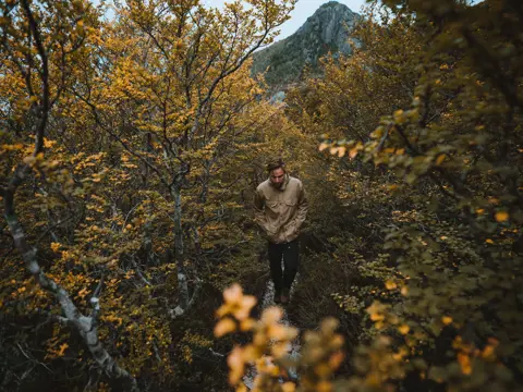 A person walking through Fagus in Cradle Mountain-Lake St Clair National Park, Tasmania