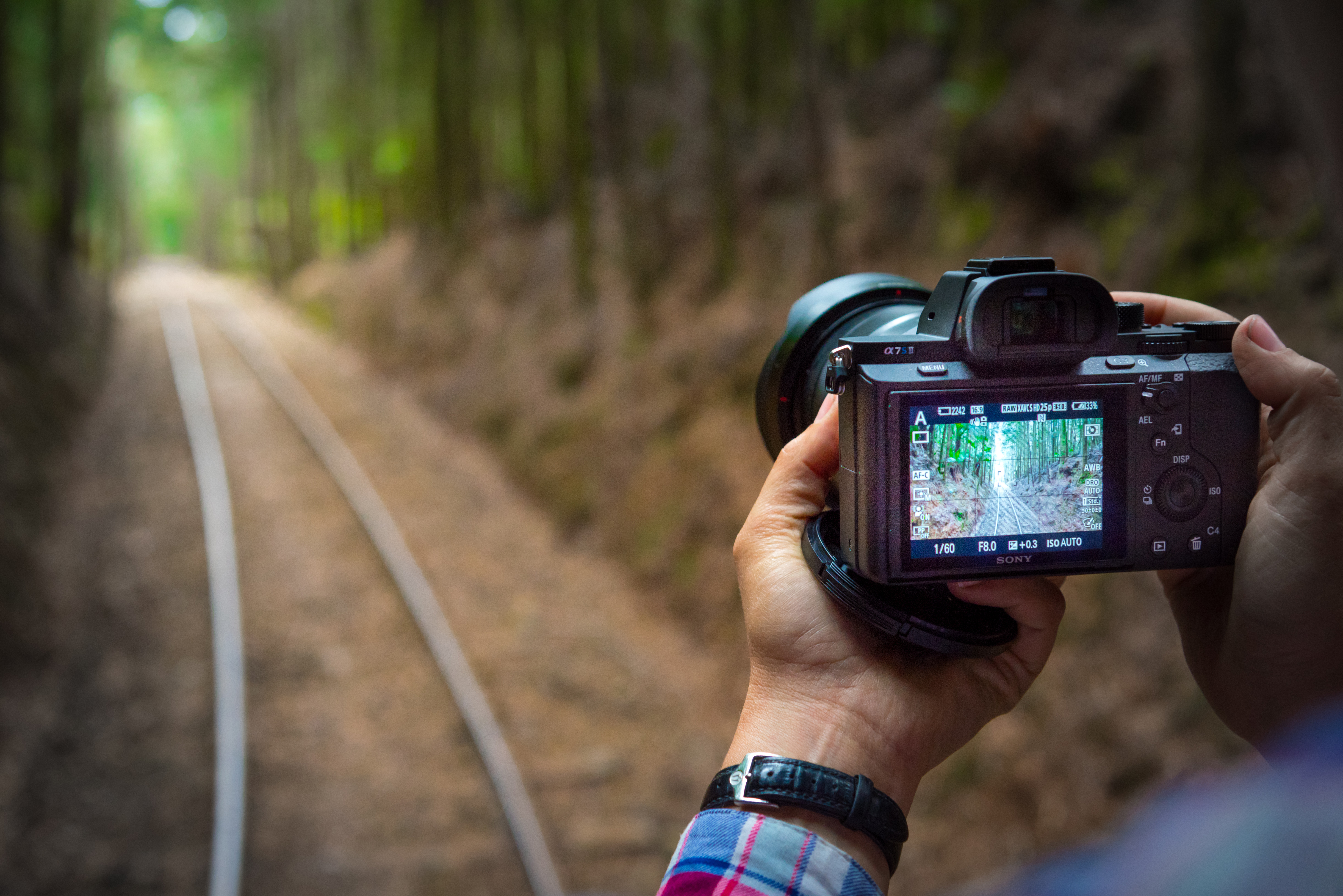 Person holding a camera photographing a forested railway track