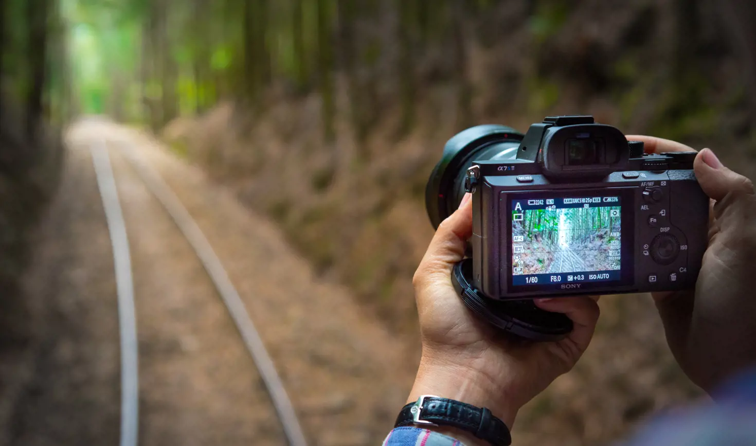 Person holding a camera photographing a forested railway track