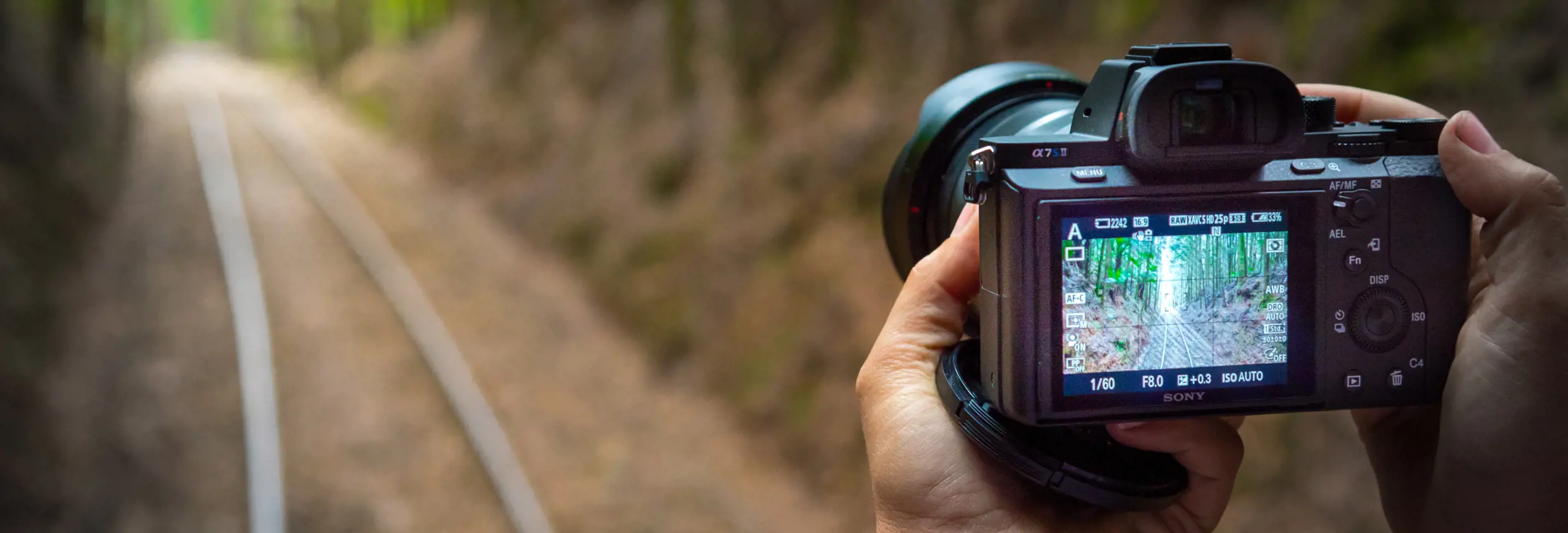 Person holding a camera photographing a forested railway track