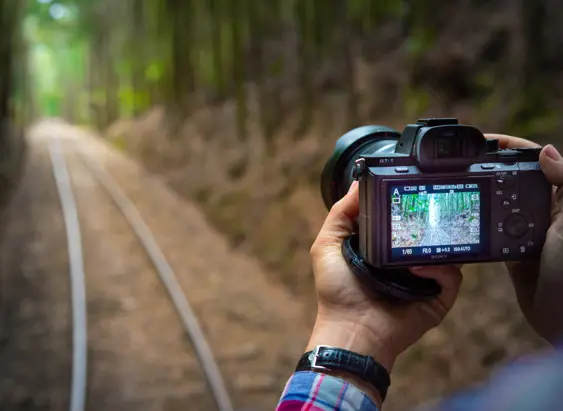 Person holding a camera photographing a forested railway track