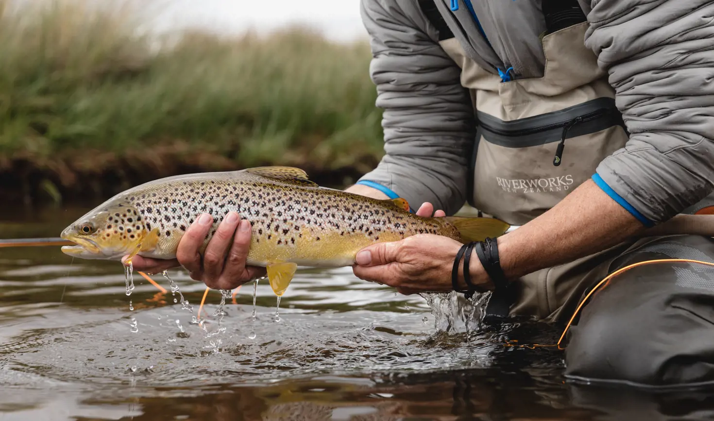 Close-up of hands holding a brown trout above clear flowing water