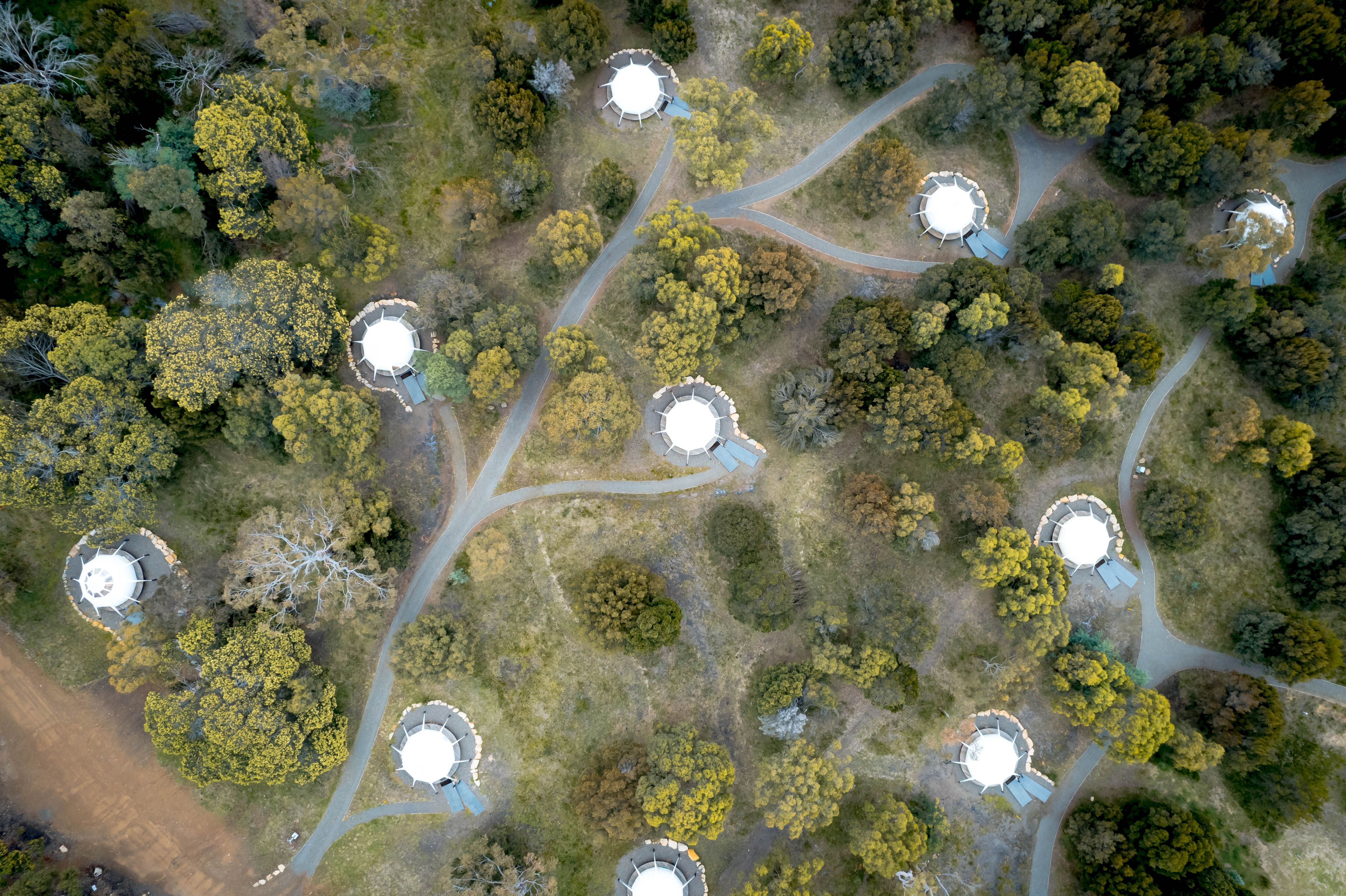 An aerial view of a forested parkland dotted with circular white-roofed structures connected by winding pathways, the canopy of autumn-toned trees filling the spaces between them.