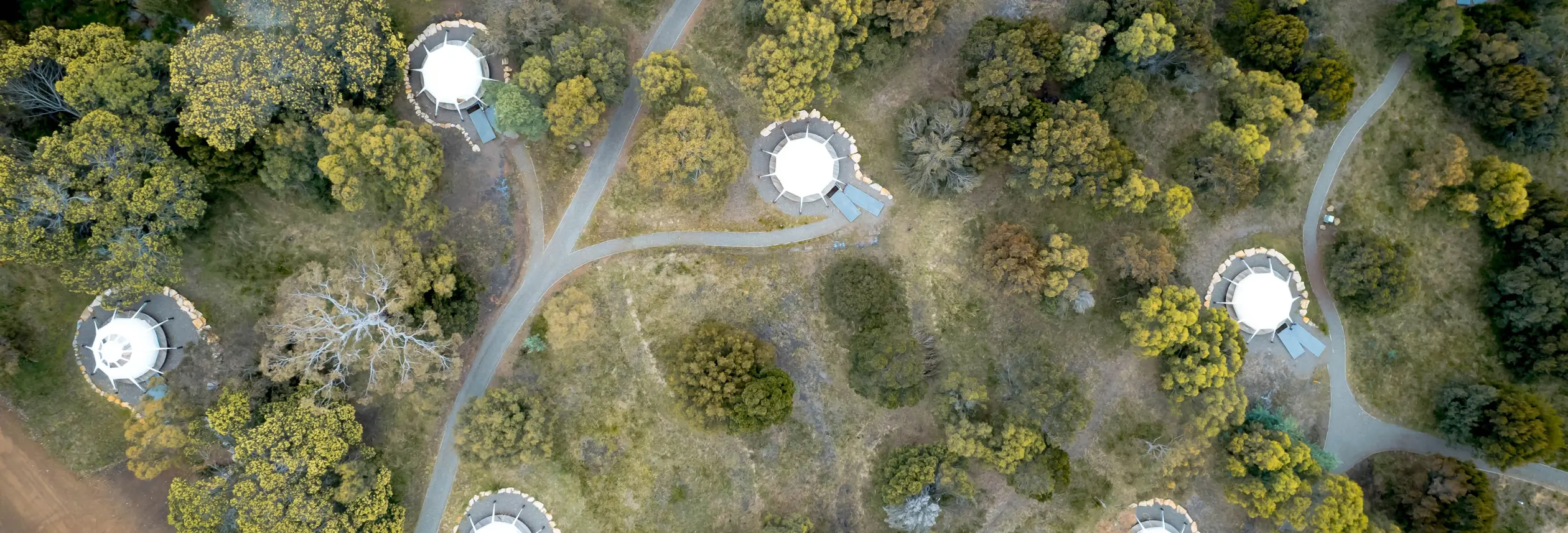 An aerial view of a forested parkland dotted with circular white-roofed structures connected by winding pathways, the canopy of autumn-toned trees filling the spaces between them.