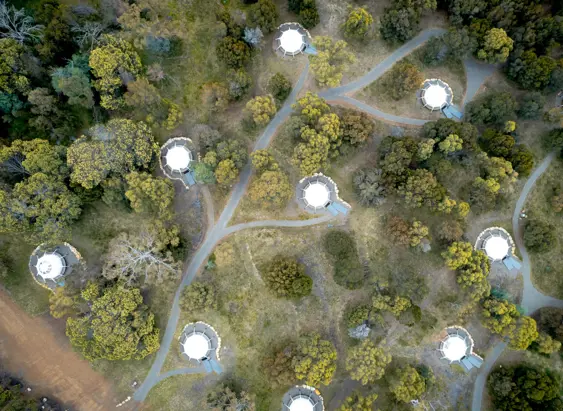 An aerial view of a forested parkland dotted with circular white-roofed structures connected by winding pathways, the canopy of autumn-toned trees filling the spaces between them.