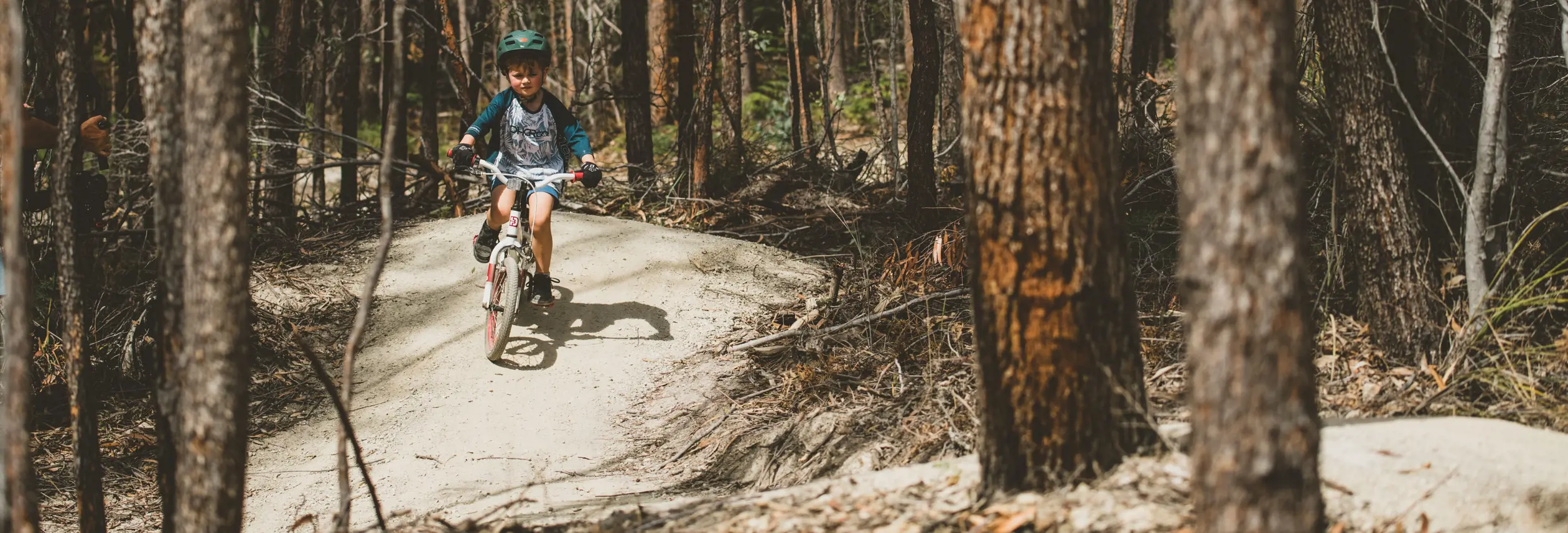 A child riding a mountain bike along a forest trail, dwarfed by the towering trees on either side of the narrow path.