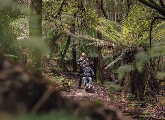 A person being carefully assisted along a bush trail in an all-terrain wheelchair, moving through the forest with support from a companion.