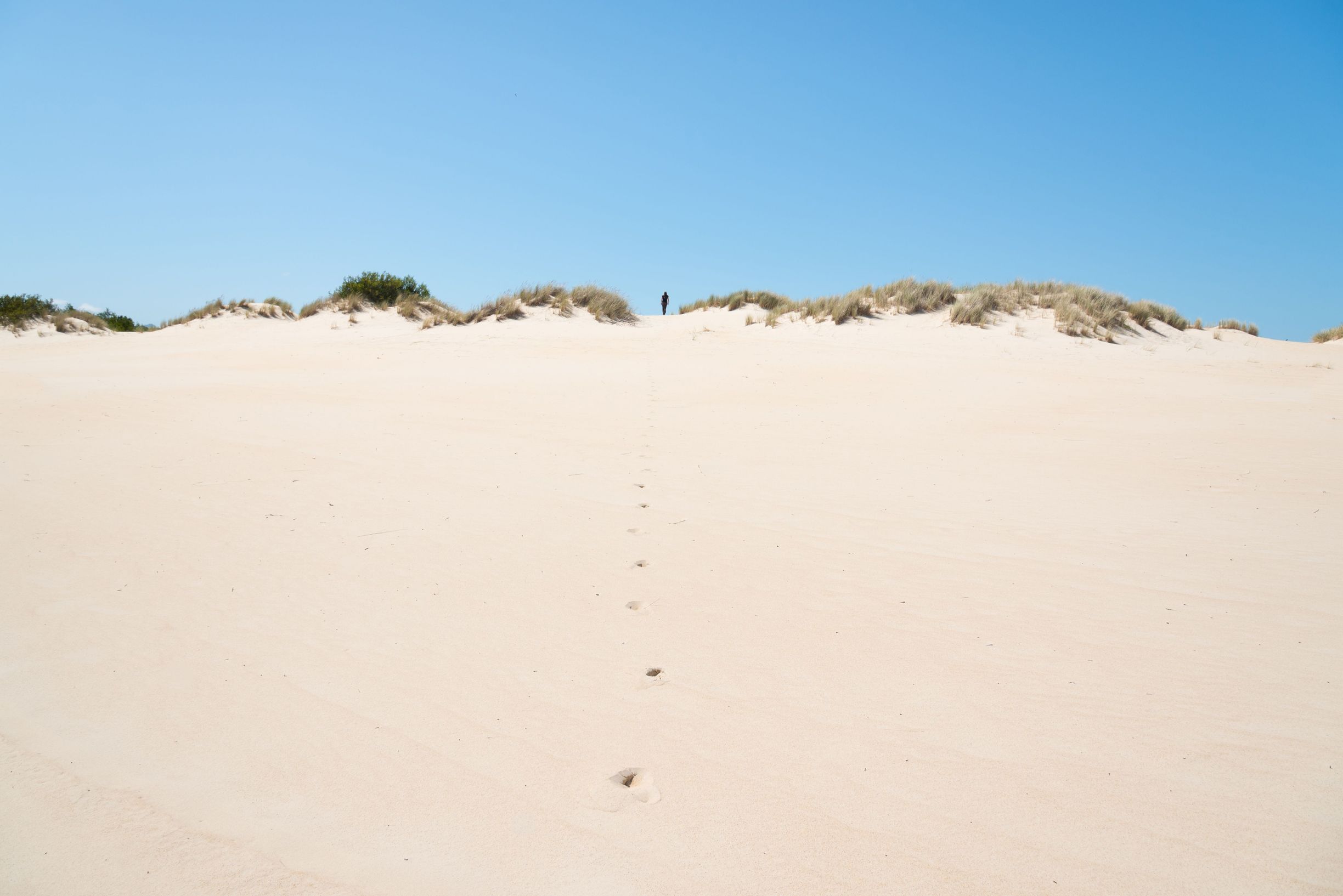 Walking over Henty Dunes