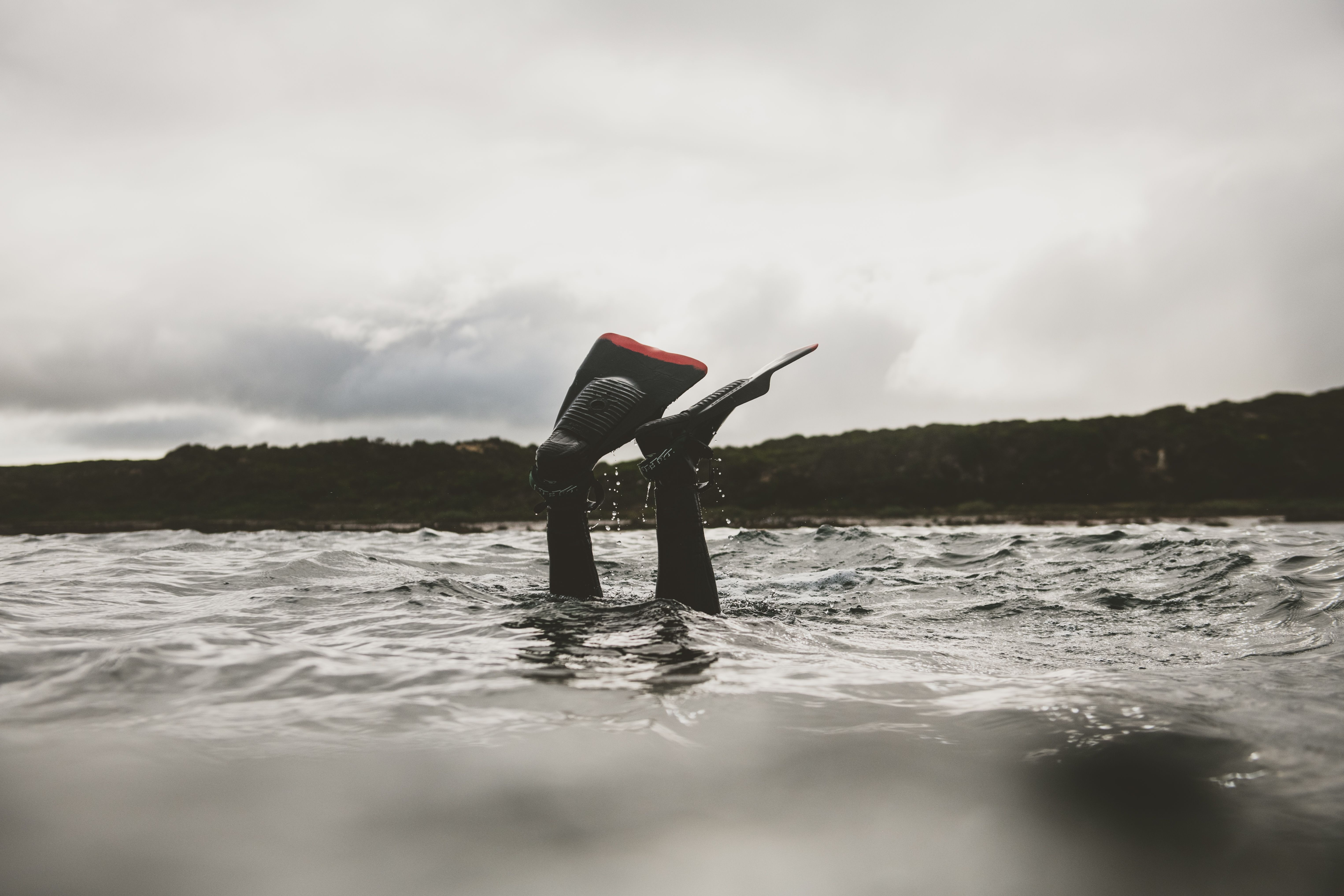 A diver in a wetsuit surface-diving into grey choppy water, their fins raised in the air as they descend, with a overcast sky and tree-lined shore visible in the background.