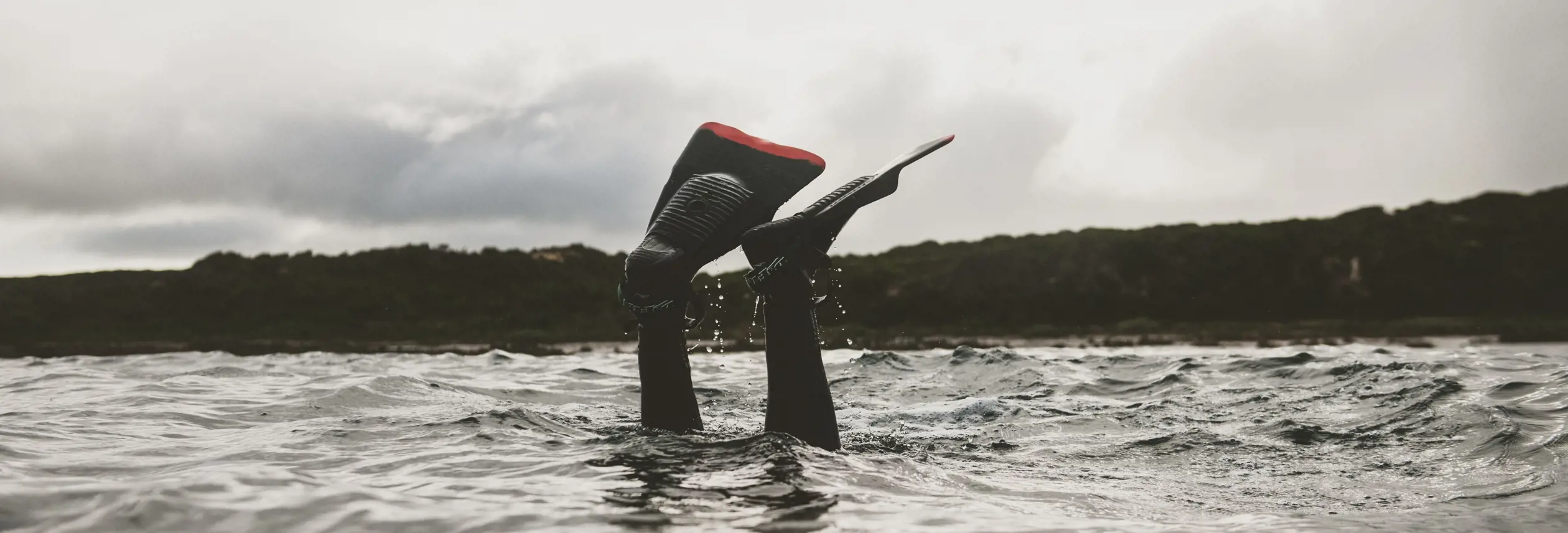 A diver in a wetsuit surface-diving into grey choppy water, their fins raised in the air as they descend, with a overcast sky and tree-lined shore visible in the background.