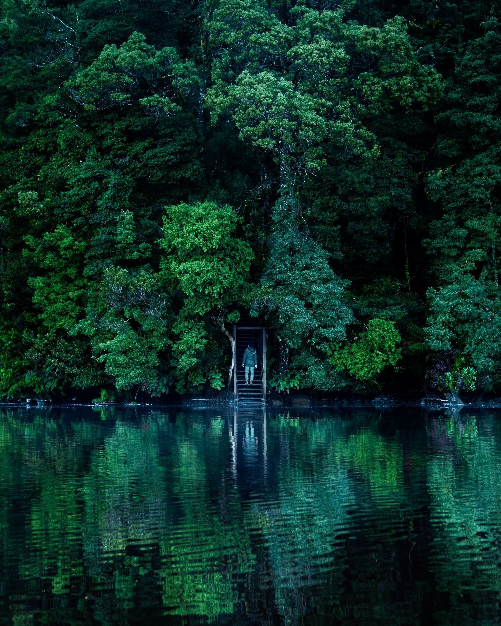 Lovers Falls, Pieman River